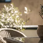 Apartamento Monas Mayrhofen