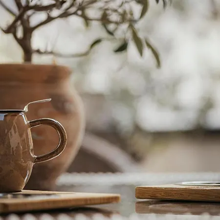 Διαμέρισμα Monas