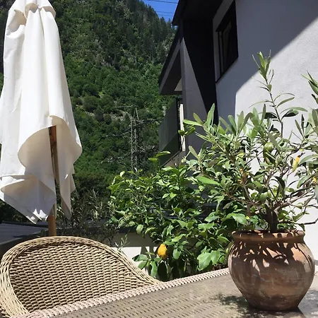 Monas * Mayrhofen